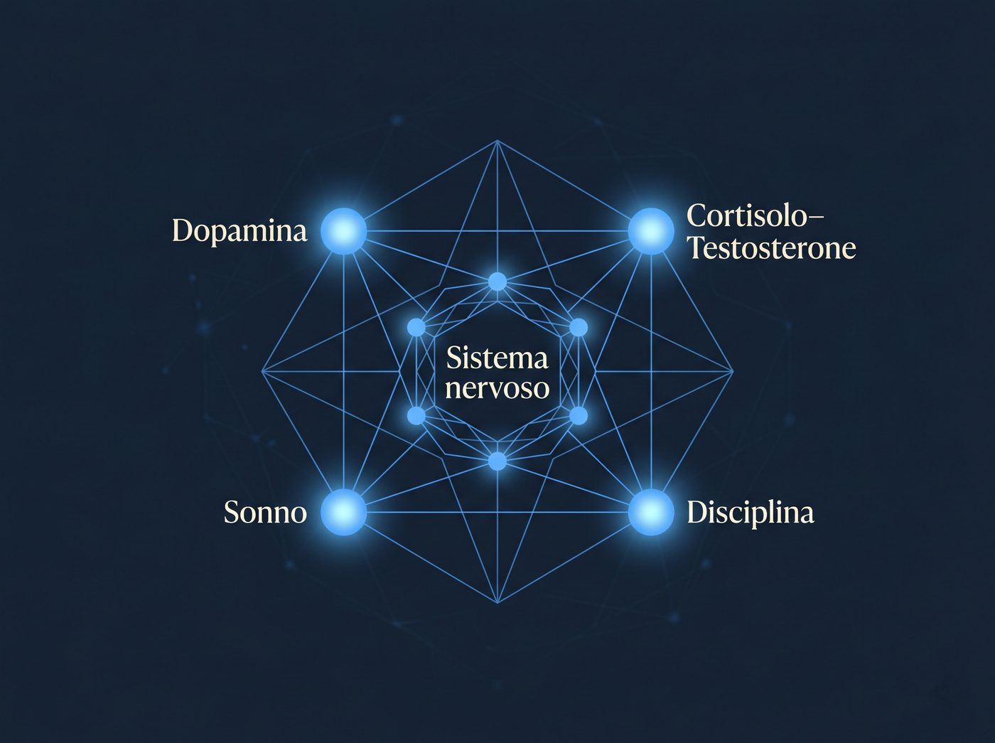 Diagramma del sistema biologico: dopamina, cortisolo-testosterone, sonno, sistema nervoso e disciplina collegati tra loro